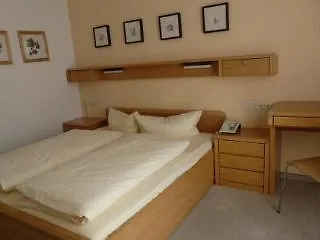 Otel Hahn 3*